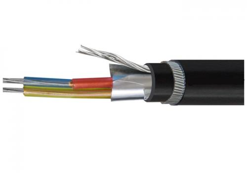 EN 50288-7/BS 5308 Part 1 CAM/PE/SWA PVC Instrumentation Cable